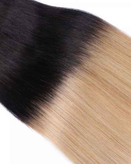 tape in hair extensions- Ombre Color 1B/24