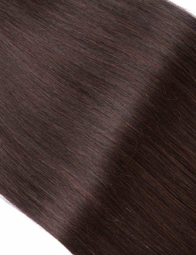 tape in hair extensions-Color 2