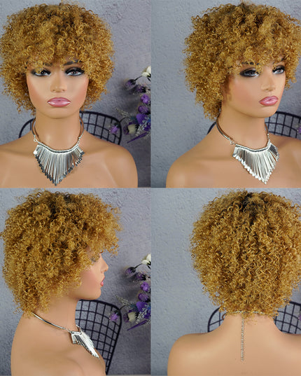 Machine made pixie cut wig--JK9037---#T1B/27