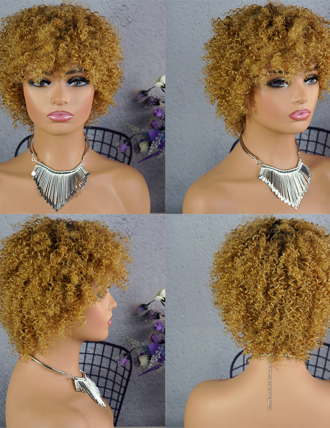 Machine made pixie cut wig--JK9037---#T1B/27