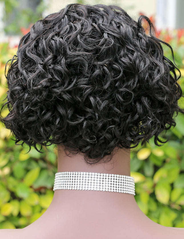 Pixie Cut Wig 13*4*1 lace part -Model--9003-1B#