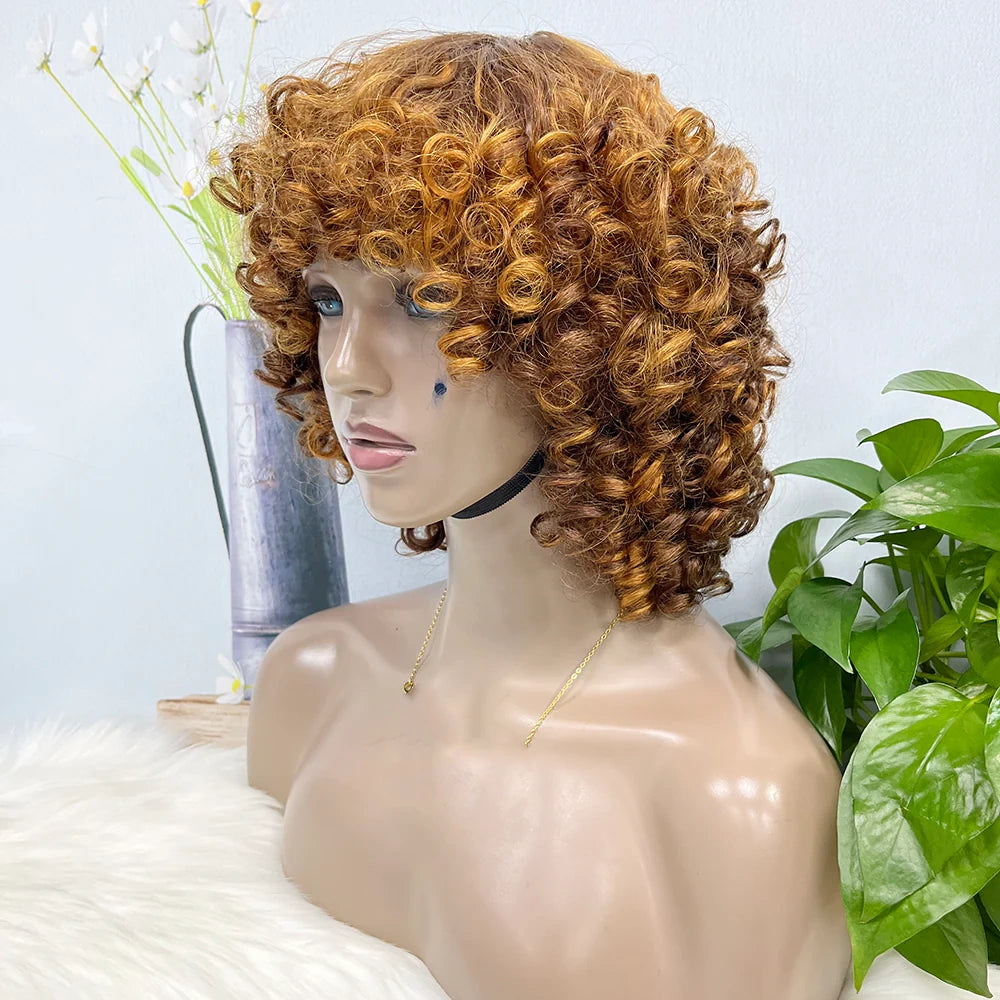 Funmi curl-- highlight  #4/27 color--full machine made wig with bang