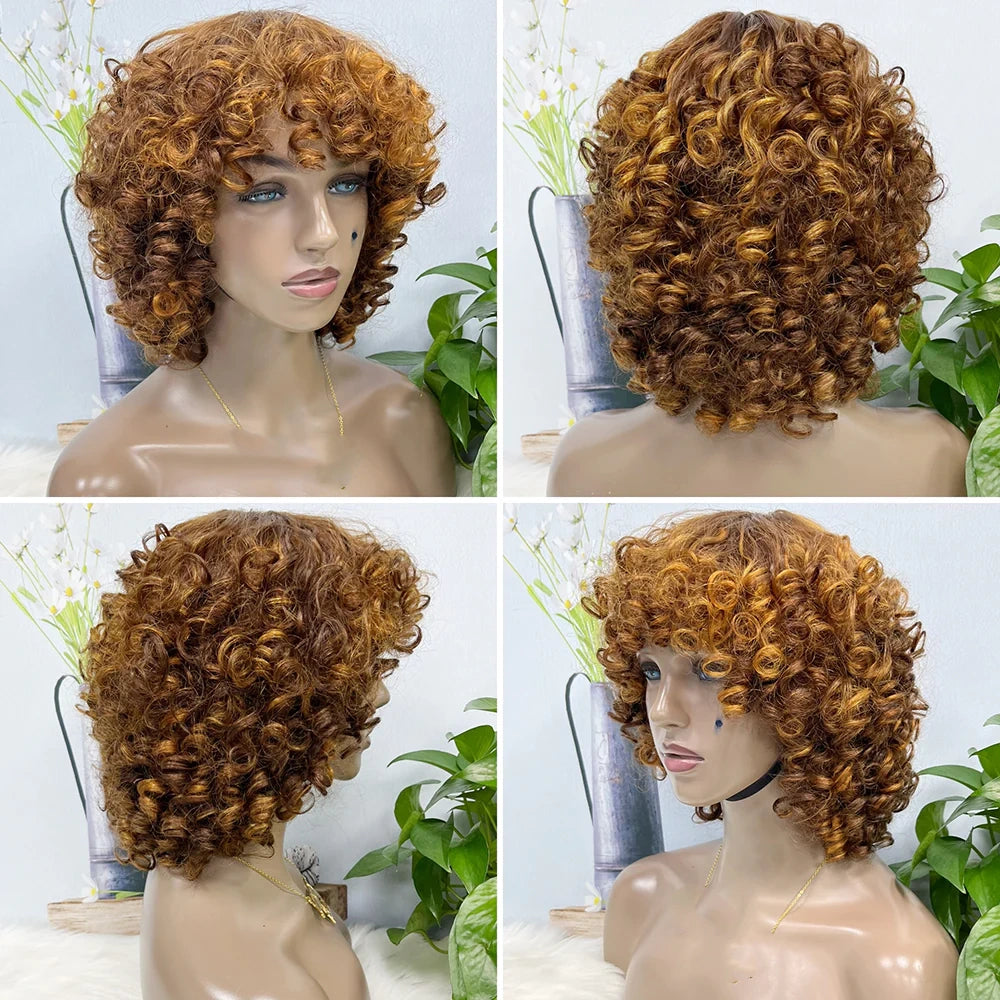 Funmi curl-- highlight  #4/27 color--full machine made wig with bang