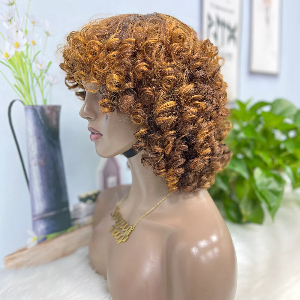 Funmi curl-- highlight  #4/27 color--full machine made wig with bang