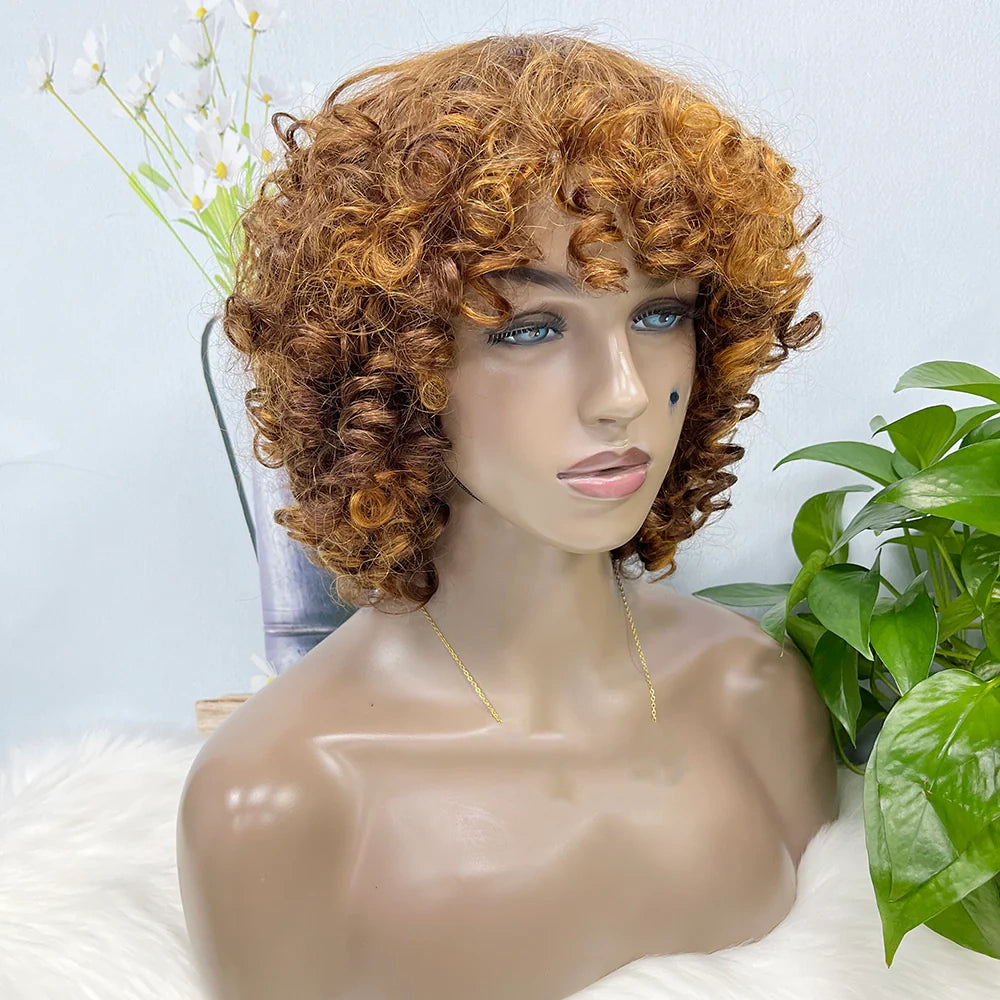 Funmi curl-- highlight  #4/27 color--full machine made wig with bang