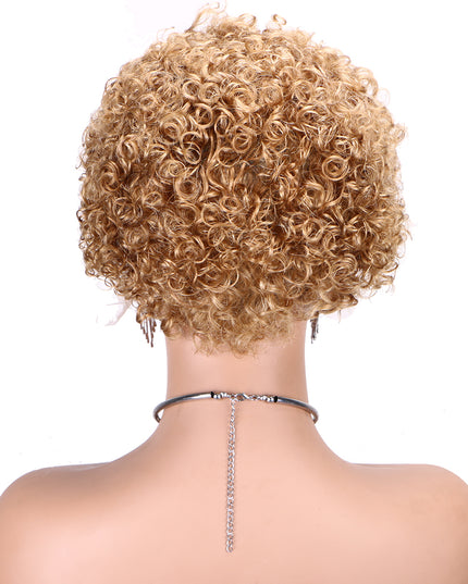 Pixie Cut Wig 13*1 lace part---JK2016---27#---buy 1 get 2