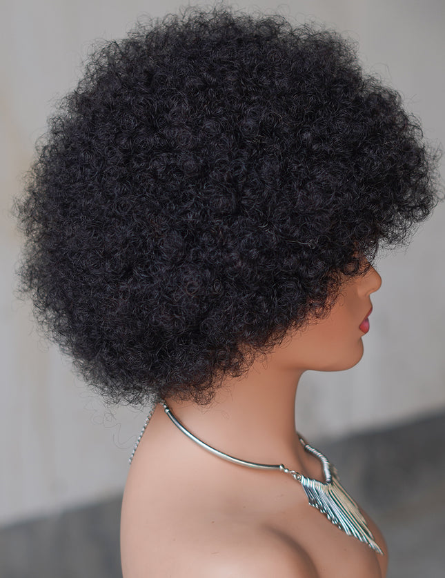 Machine made pixie cut wig---JK9032-10 inch