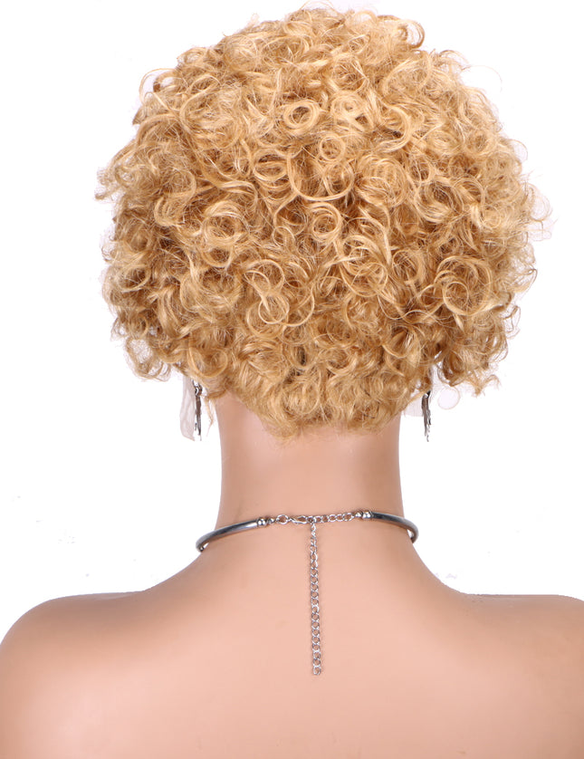 Pixie Cut Wig 13*1 lace part ---JK2016---T1B/27#---buy 1 get 2