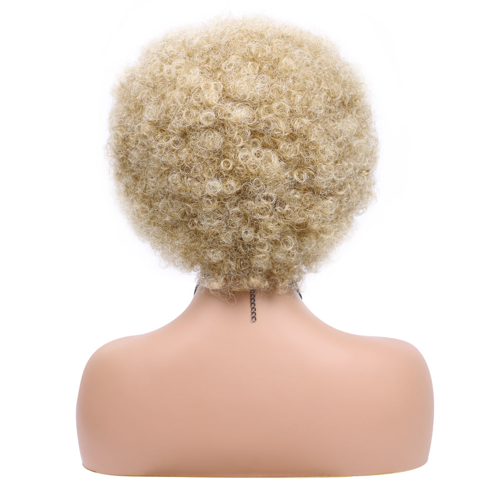 Short Caterpillar Fiber wig- M27/613