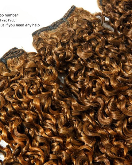 Pixie funmi color 30 hair bundle Premium Donor Virgin Hair Top Quality Hair Bundle Double drown 1PC